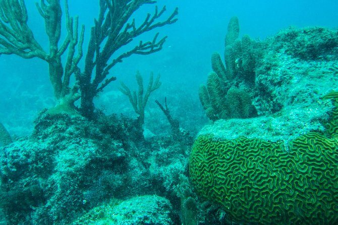 Full-Day Sailing Trip to Mujeres Island from Playa del Carmen - An In-Depth Look at the Experience