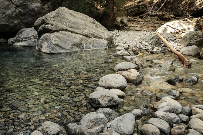 Full-Day Samaria Gorge Private Hiking Tour - Reviews