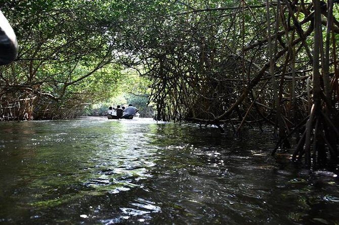 Full-Day San Blas Tour from Puerto Vallarta - The Sum Up