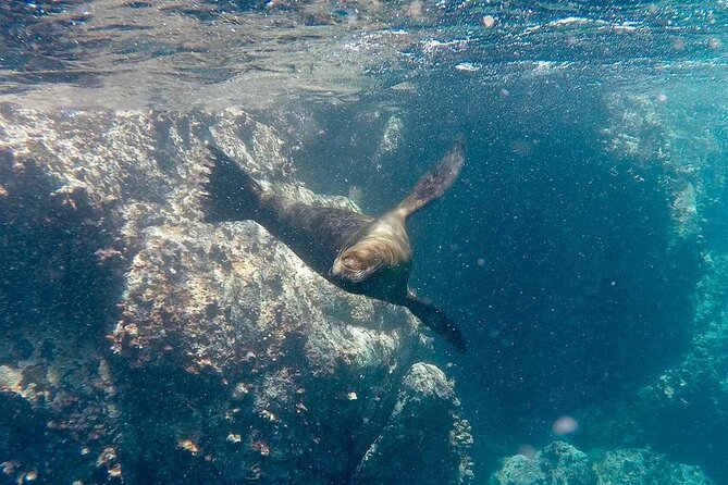 Full Day Santa Fe and Playa Escondida With Snorkeling and Lunch Included - Exploring the Playa Escondida