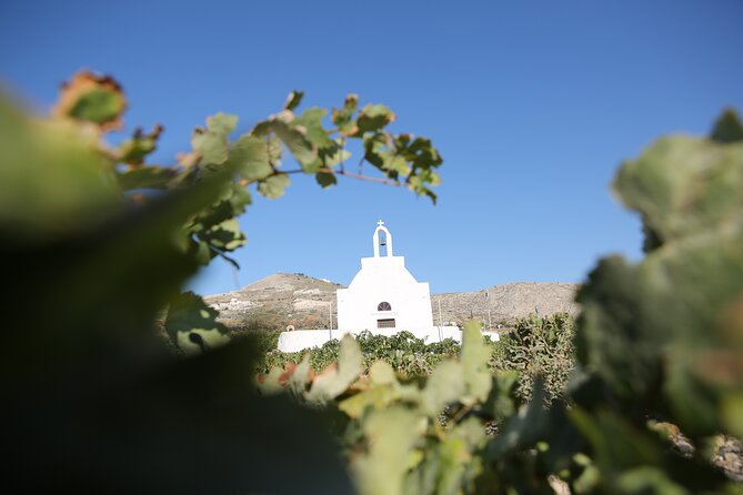 Full Day Santorini Photo Workshop - Nighttime Sky Expedition