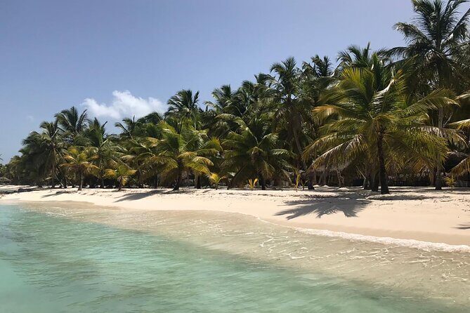 Full-Day Saona Island Escape Beaches, Adventure, Paradise Vibes - Key Points