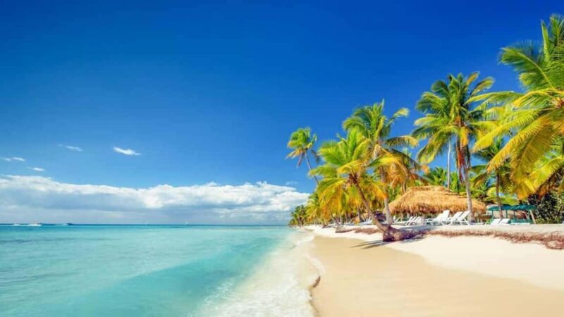 Full-Day Saona Island Excursion with Catamaran Party - Practicalities and Considerations