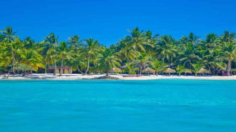 Full-Day Saona Island Excursion with Catamaran Party - Who Is This Tour Best For?