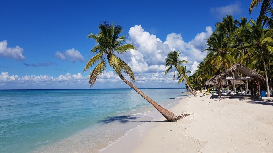 Full-Day Saona Island Tour by Speedboat - Key Points