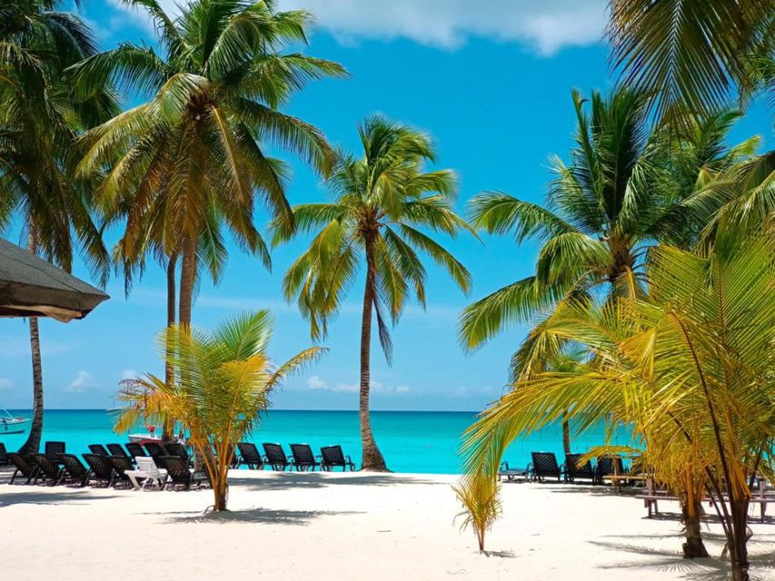 Full-Day Saona Island Tour by Speedboat - Speedboat Transportation to the Island
