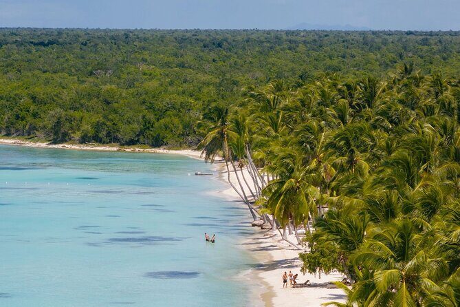 Full-Day Saona Island Tours All Inclusive - Analyzing the Cost and Value  