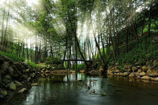 Full Day Sapanca and Masukiye Tour with lunch - Full Day Sapanca and Masukiye Tour with Lunch: A Practical Guide for Nature and Culture Lovers