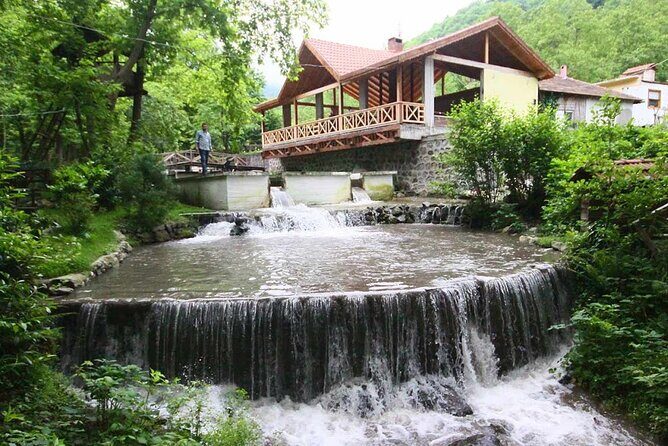 Full Day Sapanca and Masukiye Tour with lunch - Frequently Asked Questions