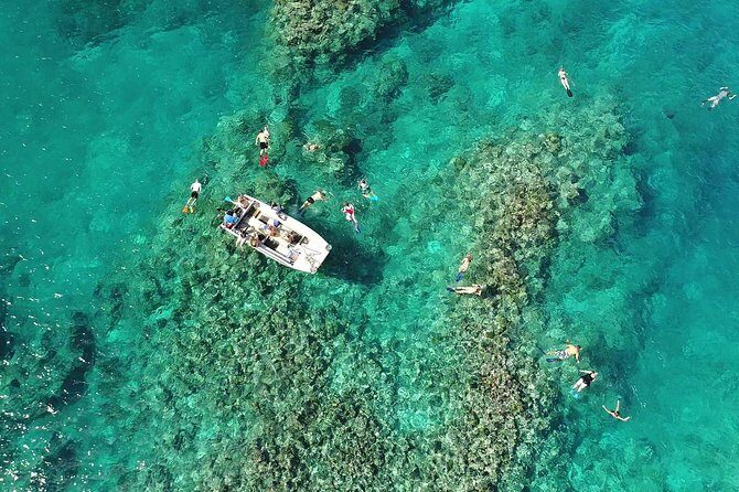 Full-Day Scenic Tour around the Island Tour from Port Vila - Pricing and Value