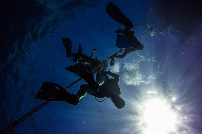 Full-Day Scuba Diving Catalina Island Tour From Bavaro - Safety and Medical Considerations