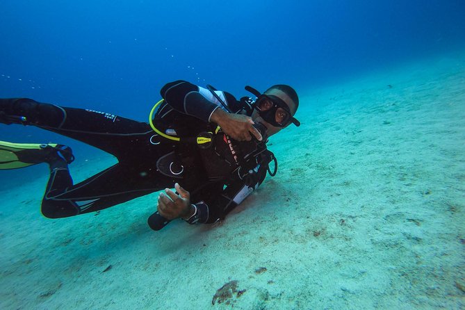Full-Day Scuba Diving Catalina Island Tour From Bavaro - Booking and Cancellation Policy