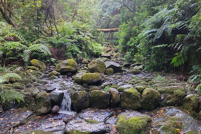 Full-Day Self Guided Hike in Caldeirão Verde Levada - Health and Safety Requirements