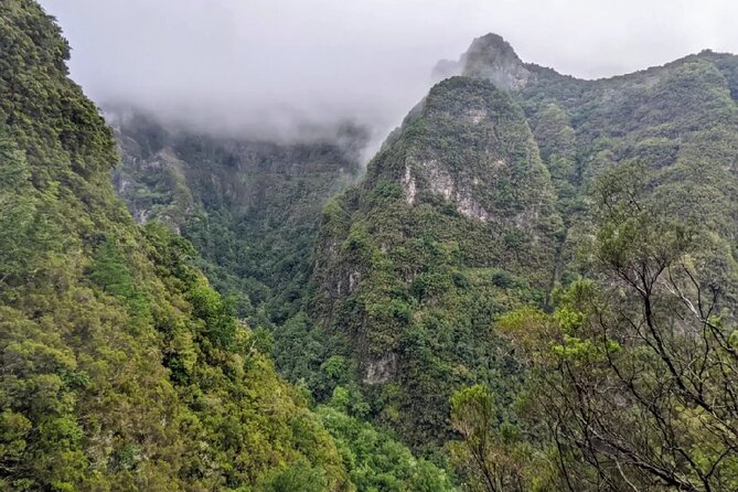 Full-Day Self Guided Hike in Caldeirão Verde Levada - Traveler Experiences and Feedback