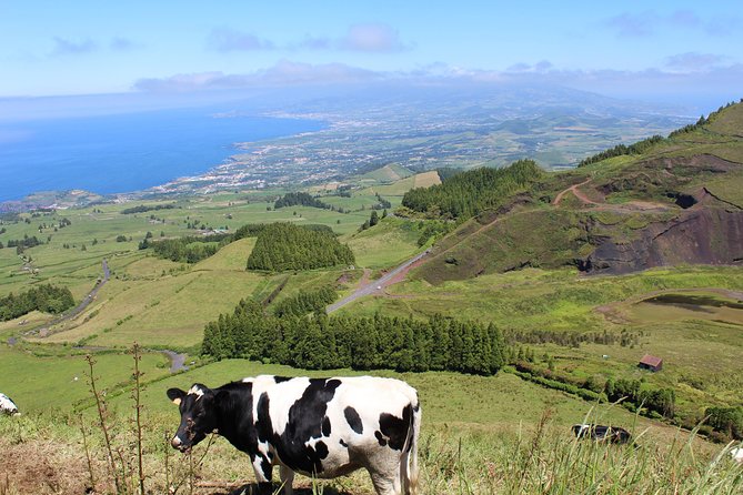 Full Day Sete Cidades and Lagoa Do Fogo PRIVATE 4WD Tour With Lunch - Itinerary and Daily Schedule