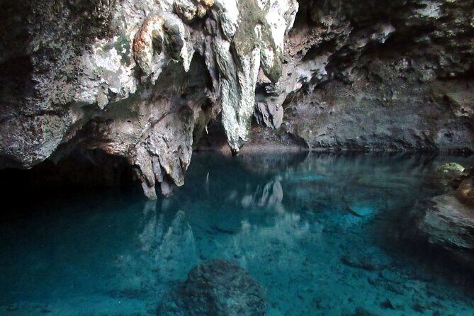 Full-Day Shared Cultural Excursion: Punta Cana to Santo Domingo - The Itinerary in Detail