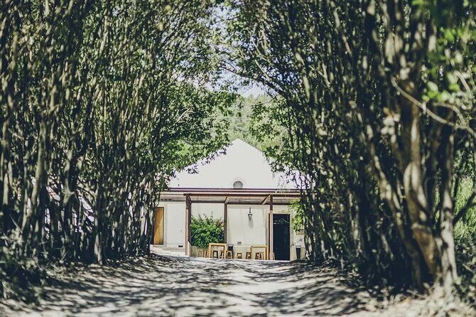 Full Day Shared Guided Tour in Setúbal - Practical Details and Value