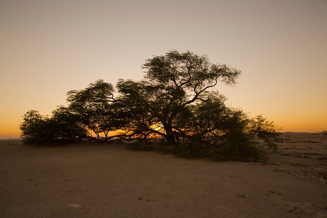 Full Day Sightseeing Tour in Bahrain - Bahrain International Circuit