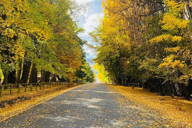 Full Day Sightseeing Tour To Discover Queenstown's Scenic Wonder - A Deep Dive into the Scenic Journey