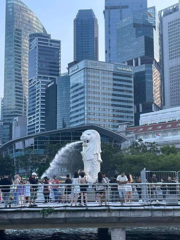 Full day Singapore City Tour with Flyer,GBB and Skypark - Key Points