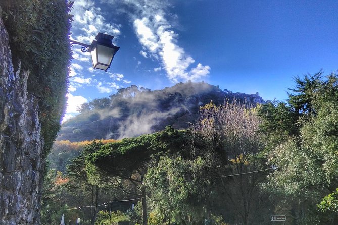 Full-Day Sintra and Cascais Small-Group Tour From Lisbon - Tour Guide Experiences