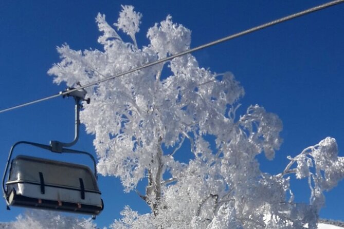Full Day Ski Lesson (6 Hours) in Yuzawa, Japan - Additional Considerations