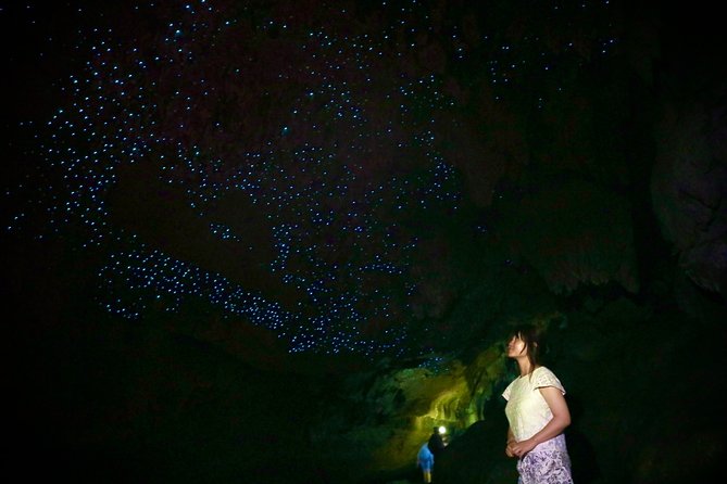 Full-Day Small-Group Glowworm Exploration Tour in New Zealand - Inclusions and What to Expect