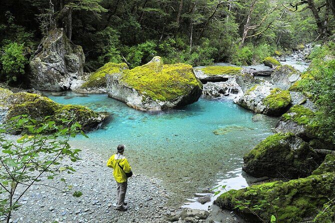 Full Day Small Group Routeburn Valley Hike - Who Should Consider This Tour?