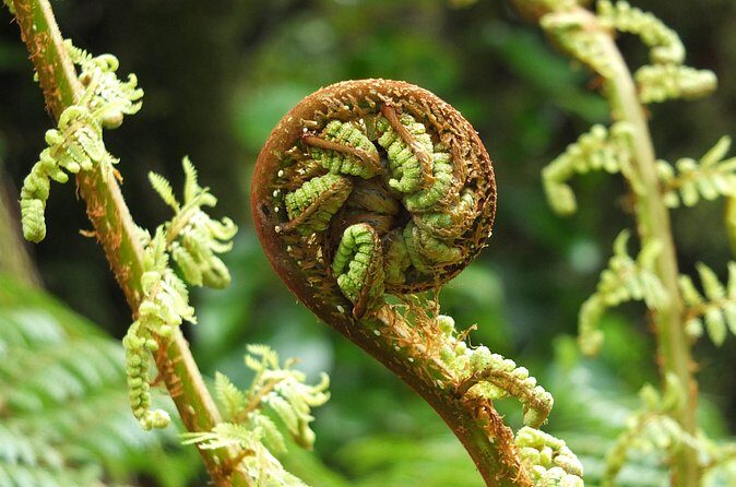 Full Day Small Group Routeburn Valley Hike - The Sum Up: Is This the Right Tour for You?