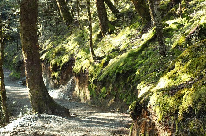 Full Day Small Group Routeburn Valley Hike - FAQ