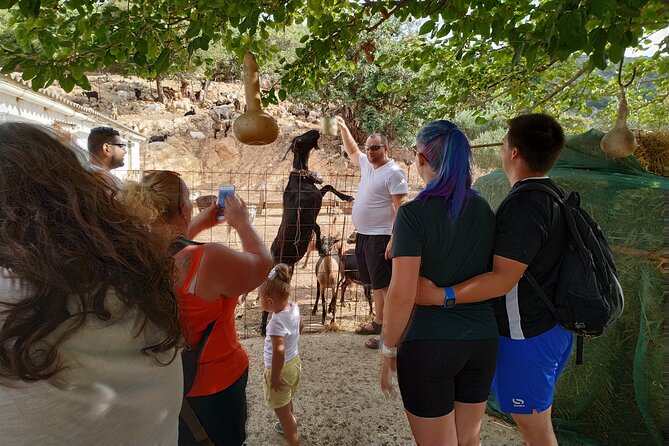 Full-Day Small-Group Tour in Crete & the Cave of Zeus - Reviews