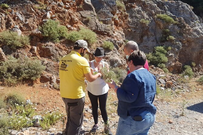Full-Day Small-Group Tour in Crete & the Cave of Zeus - Cancellation Policy