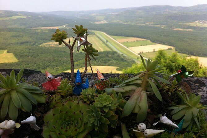 Full-Day Small-Group Tour in Istria - Key Points