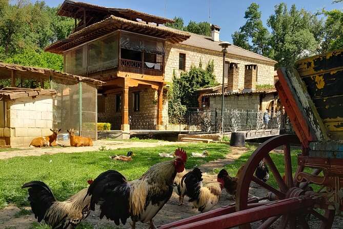 Full-Day Small-Group Tour of Bulgaria by Minivan With Lunch - Savor a Home-Made Local Lunch