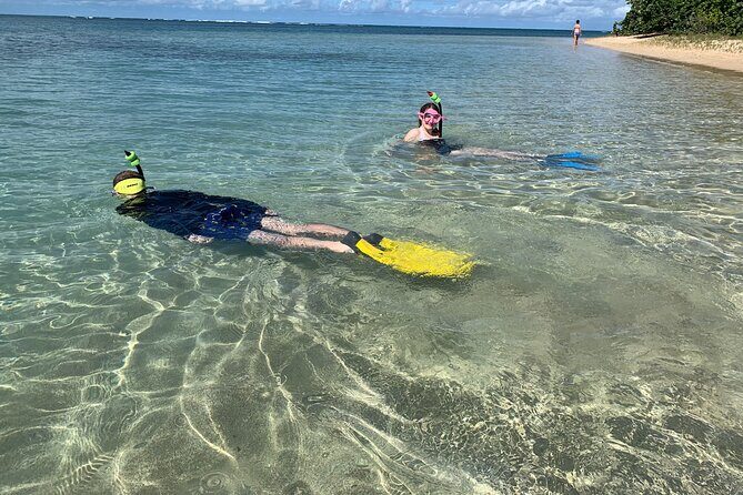 Full-Day Snorkeling Gear Rental in Puerto Rico - Authentic Experiences and Insights from Reviews