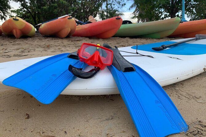 Full-Day Snorkeling Gear Rental in Puerto Rico - Who Should Consider This Snorkeling Rental?