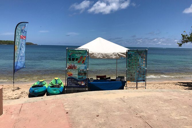 Full-Day Snorkeling Gear Rental in Puerto Rico - The Sum Up: A Practical, Low-Key Marine Adventure