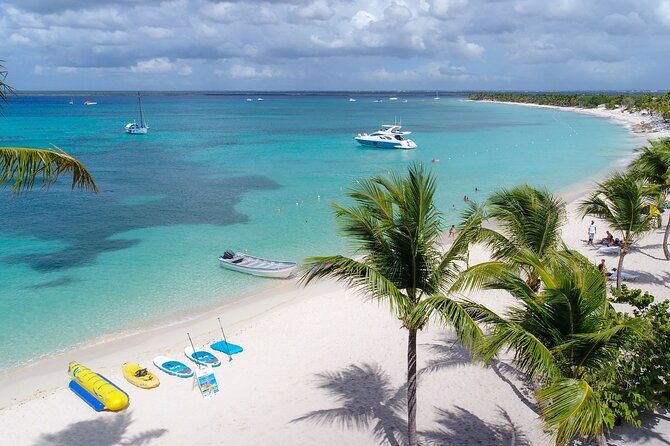 Full Day Snorkeling in Catalina Island with Transportation and Lunch - Analyzing the Value