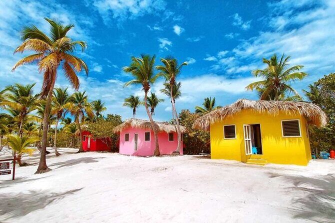 Full Day Snorkeling in Catalina Island with Transportation and Lunch - Who Should Consider This Tour?