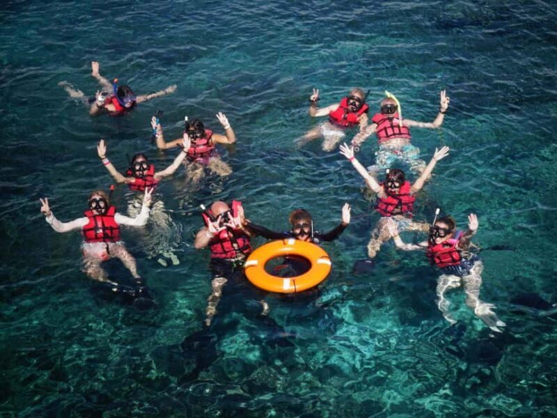 Full-Day Snorkeling Tour to Catalina Island - What to Expect From This Catamaran Tour