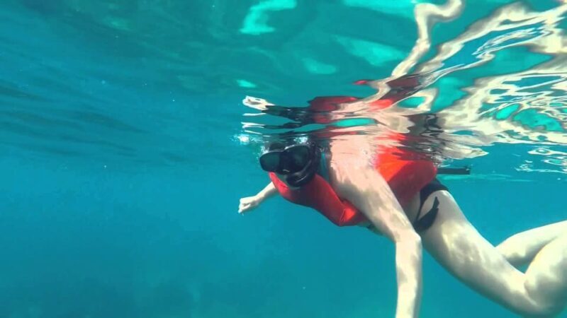 Full-Day Snorkeling Tour to Catalina Island - Final Thoughts