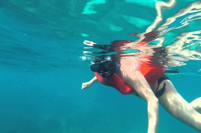 Full-Day Snorkeling Tour to Catalina Island - An In-Depth Look at the Full-Day Snorkeling Tour to Catalina Island