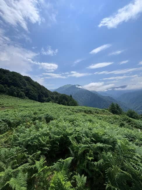 Full Day Snow Tours from Batumi - An In-Depth Look at the Full Day Snow Tour from Batumi