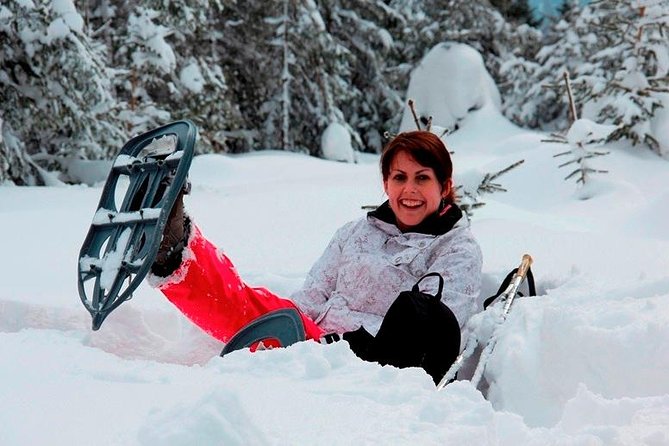 Full-Day Snowshoeing in High Tatras With Local Mountain Guide From Poprad - Rental, Transport, and Guided Assistance