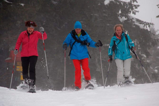 Full-Day Snowshoeing in High Tatras With Local Mountain Guide From Poprad - Flexible Cancellation Policy