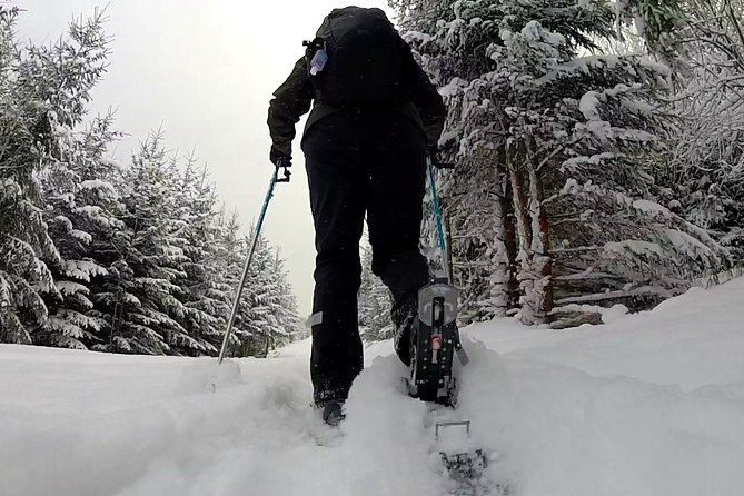 Full-Day Snowshoeing in High Tatras With Local Mountain Guide From Poprad - Verified Traveler Reviews and Ratings