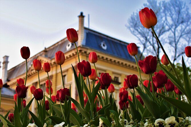 Full Day Sofia Tour - Comfortable Transportation Arrangements