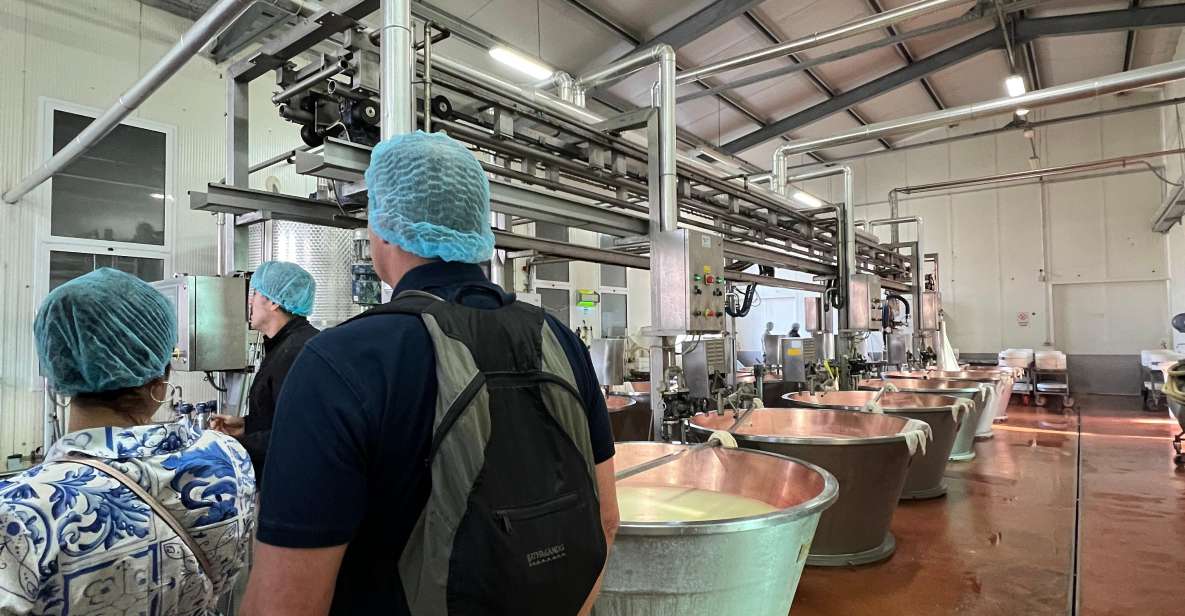 Full Day Super Cars, Parmesan, Balsamic Day Tour+Lunch - Key Points
