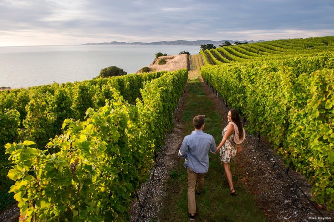 Full-Day Taste the Wines of Marlborough Tour - Guest Experiences and Reviews