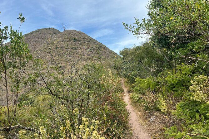 Full Day Teotitlan Del Valle Village Private Tour - The Logistics and Practicalities